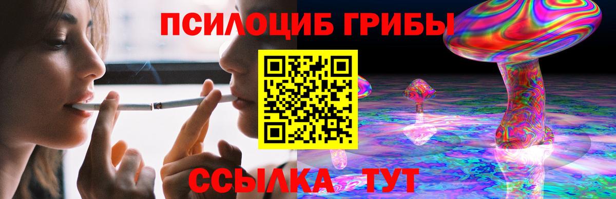Галлюциногенные грибы Psilocybine cubensis  Вход с VPN  Тобольск 